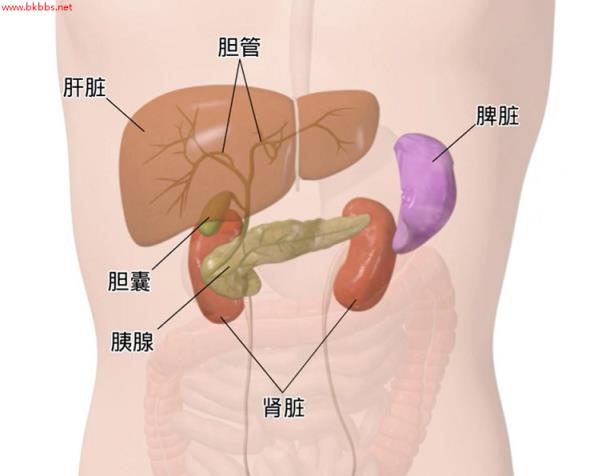 腹部彩超检查要注意什么？除了空腹，这2点也要牢记