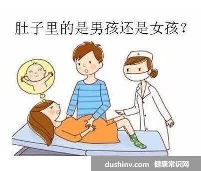 孕囊形状看男女(超准)，长条是男宝/圆形是女宝