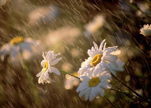 梅雨季节是什么时候？梅雨季节吃什么