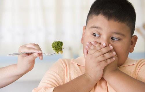 宝宝不爱吃饭总是追着喂可咋整 宝宝的开胃食谱推荐