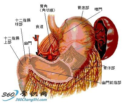 炒红枣治疗胃病