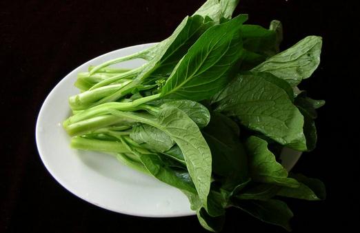 盘点能够清热祛湿的食物