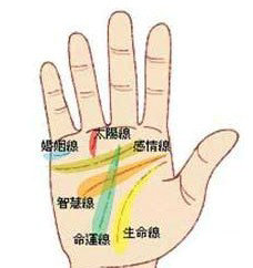 手相图解：手掌上的五大线纹