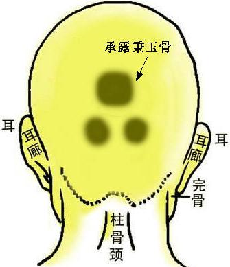 骨相图解：承露秉玉骨