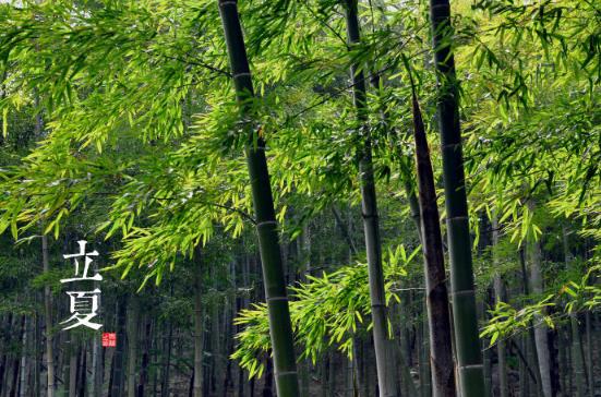 立夏是什么时候？二十四节气之立夏的由来与含义