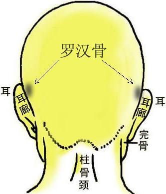 骨相图解：罗汉骨