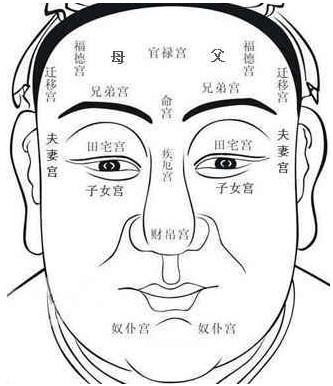 面相学中的面相十二宫的含义