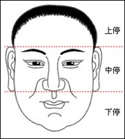 面相学入门：面相的三停指的是什么