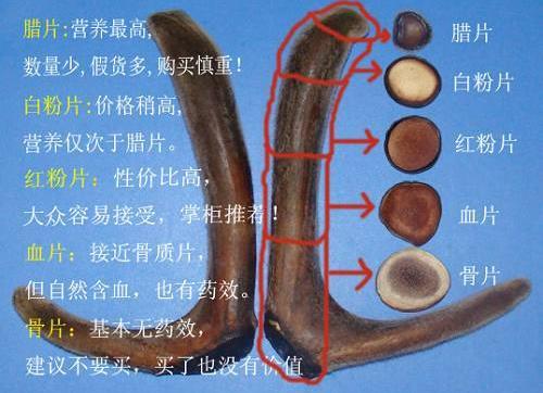 鹿茸片怎么看真假？鹿茸片真假的区分办法