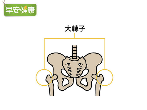 大转子