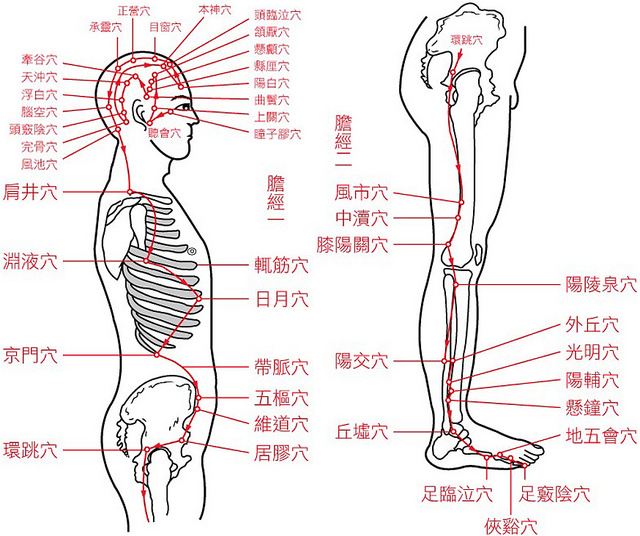 穴道示意图