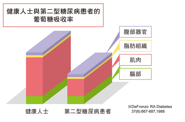 健康人士与第二型糖尿病患者的葡萄糖吸收率