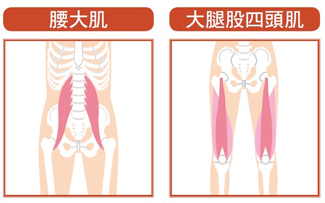 弓箭步肌肉体操：锻鍊这里！腰大肌、大腿股四头肌