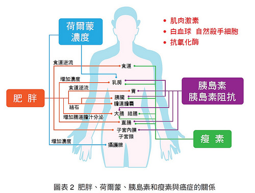 癌症,肥胖,胰岛素