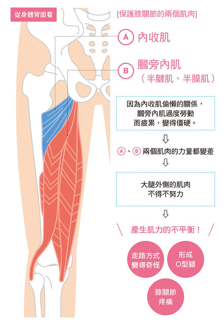  膝关节疼痛的原因是？