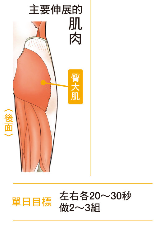 浅坐在椅子的伸展操，可有效伸展臀部肌肉。