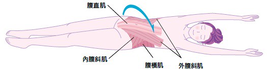 针对容易衰弱、经常下垂的腰腹周围肌肉，就以翻身伸展操来锻鍊