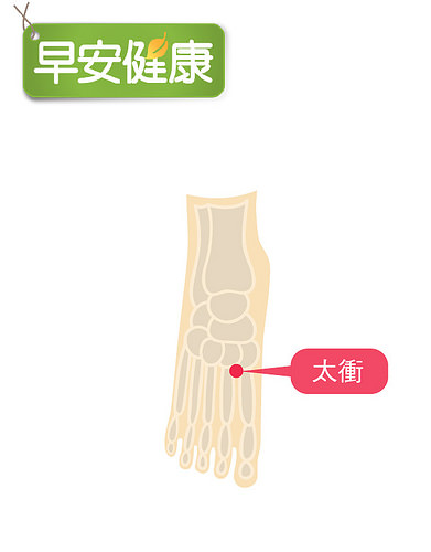 太冲穴