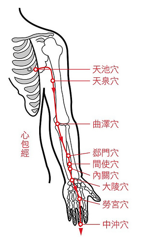 心包经络