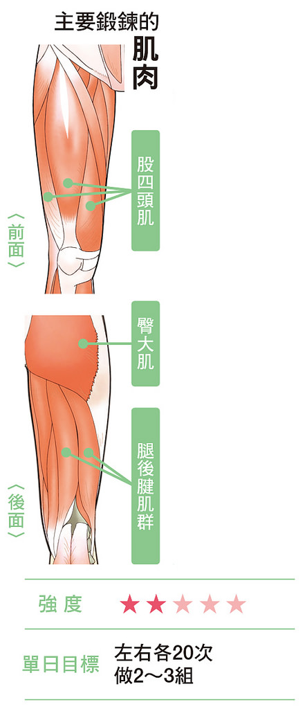 分腿蹲有助锻鍊股四头肌、臀大肌等肌肉，提高代谢瘦全身。