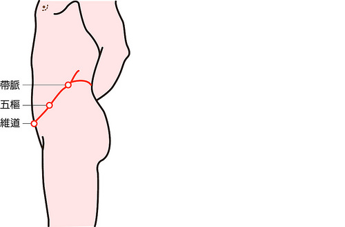 带脉及其三穴示意图