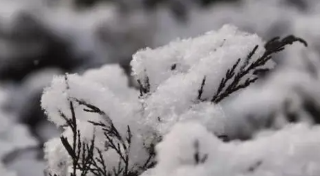 今年腊月会下大雪吗20221