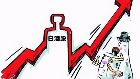 2021招商白酒基金还会涨吗3