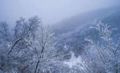 大雪节气晴天来年干旱吗1