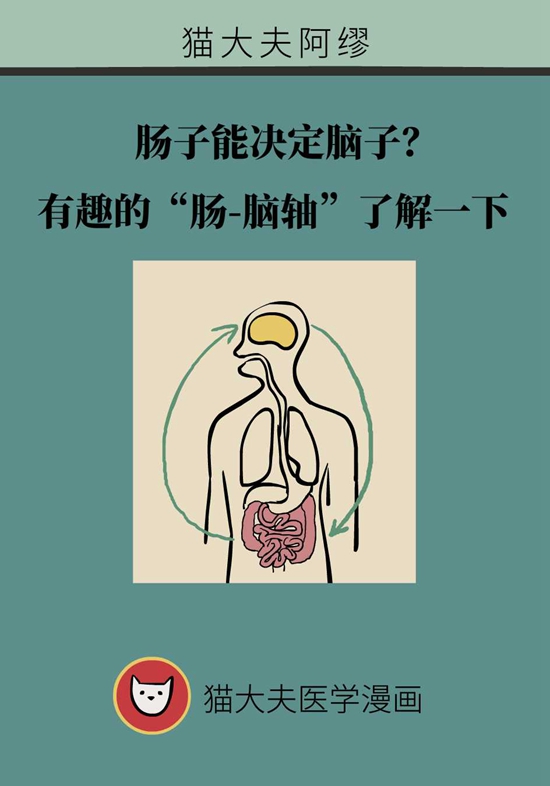 肠子能决定脑子？有趣的“肠-脑轴”了解一下