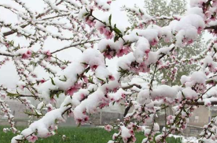 2022年2月份下雪正常吗3