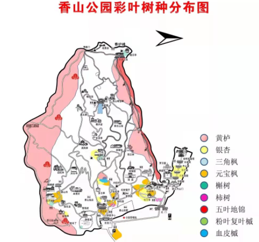 今年香山红叶什么时候看20214