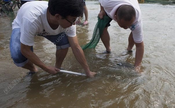 发洪水怎么抓鱼？发洪水时的抓鱼方法(2)