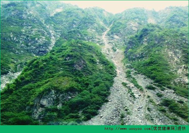 登山时下暴雨怎么办？登山时如何预防危险？(3)