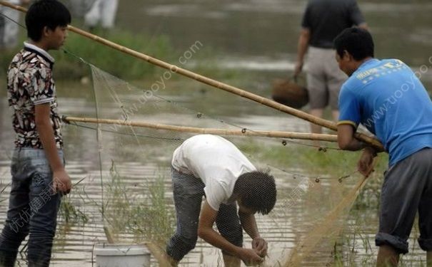 发洪水怎么抓鱼？发洪水时的抓鱼方法(4)