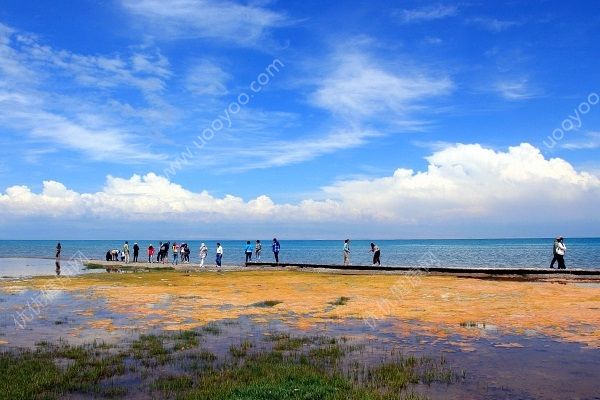 夏天去哪玩比较好？夏天去哪玩凉快？(5)