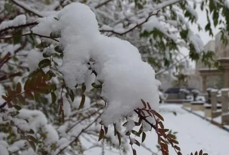 内蒙古雪后什么时候可以通车11月份1