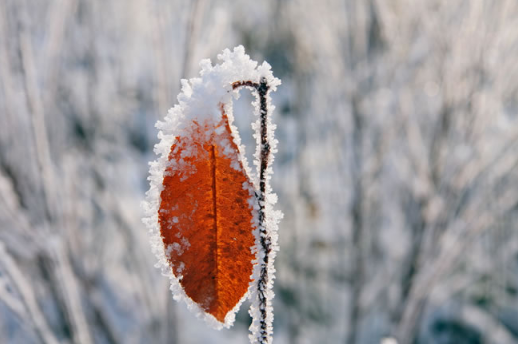 今年冬天北方雨雪多吗2021-20221