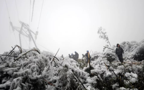 2008年雪灾什么股票涨得最好2