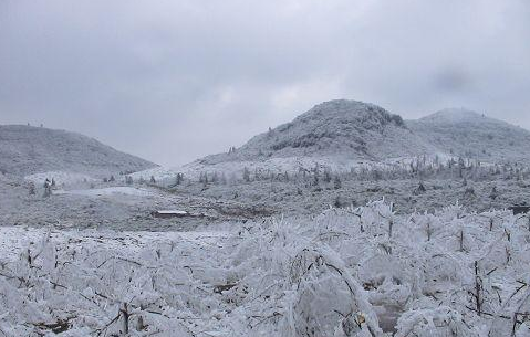 2008年雪灾多恐怖2