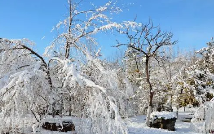 2022年南京过年下雪吗3