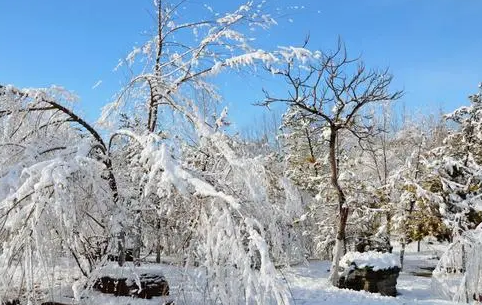 南京2022年元旦会下雪吗2