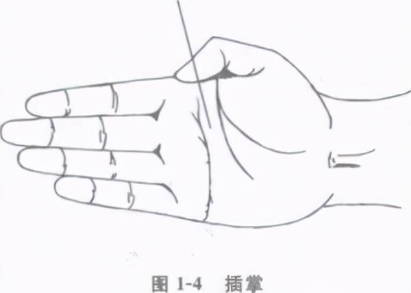 擒拿术基础动作与训练方法_武警擒拿敌术训练医学指导