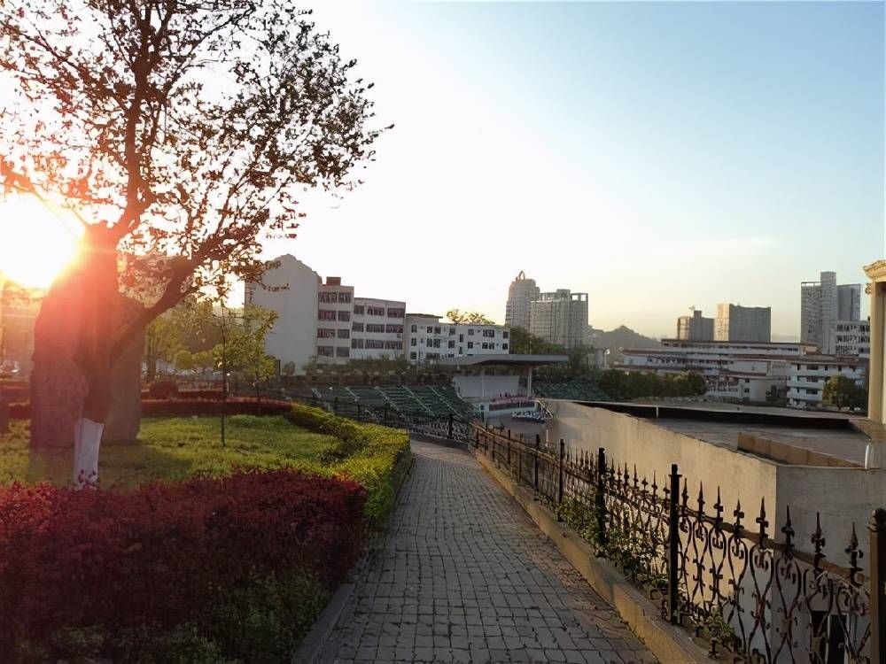 盘点全国仅有的四所医药院校，二本低位录取学医值得推荐