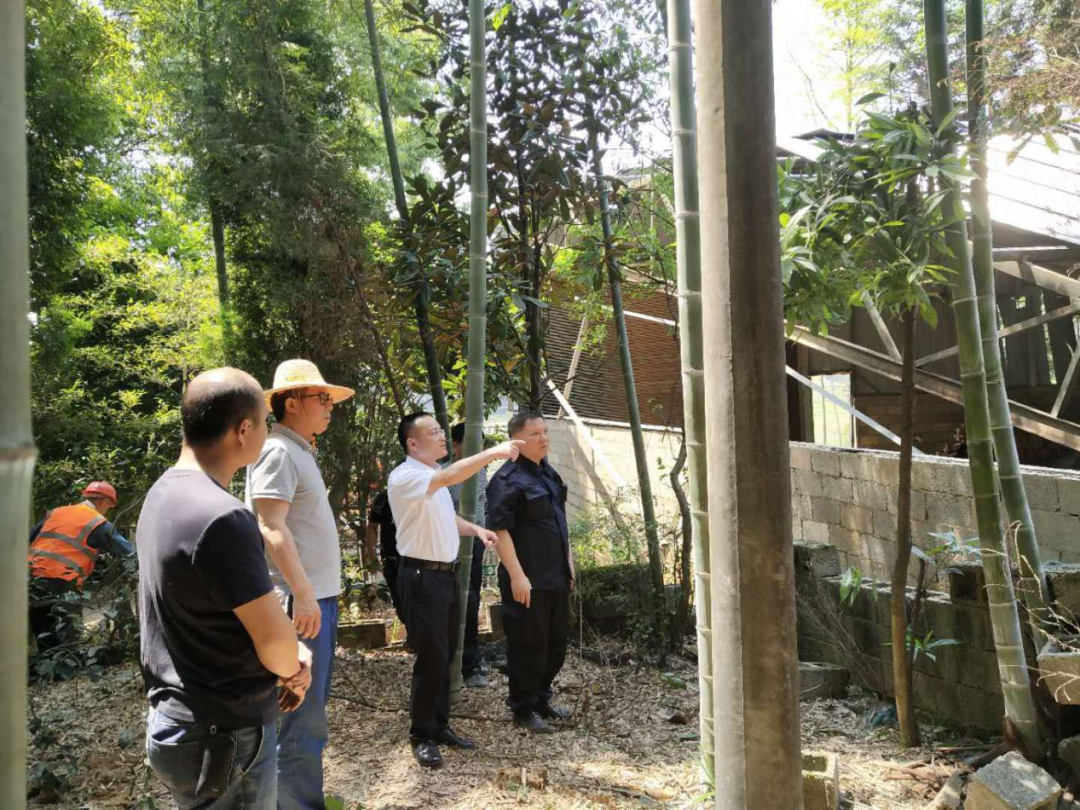 沙坪街道：大干一百天 跑出加速度│“大干一百天实现双过半”系列报道