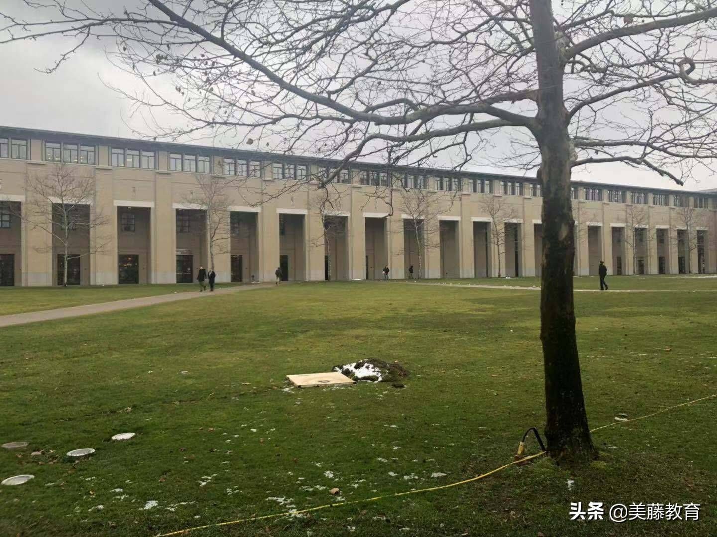 为什么康涅狄格大学评价那么高？