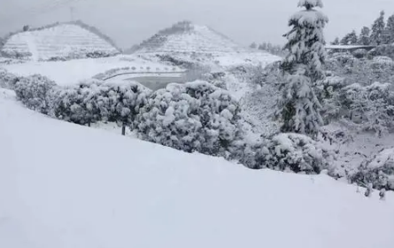 2022重庆过年会不会下雪1