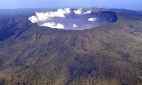 网传汤加火山爆发致扇贝涌入獐子岛真的假的1