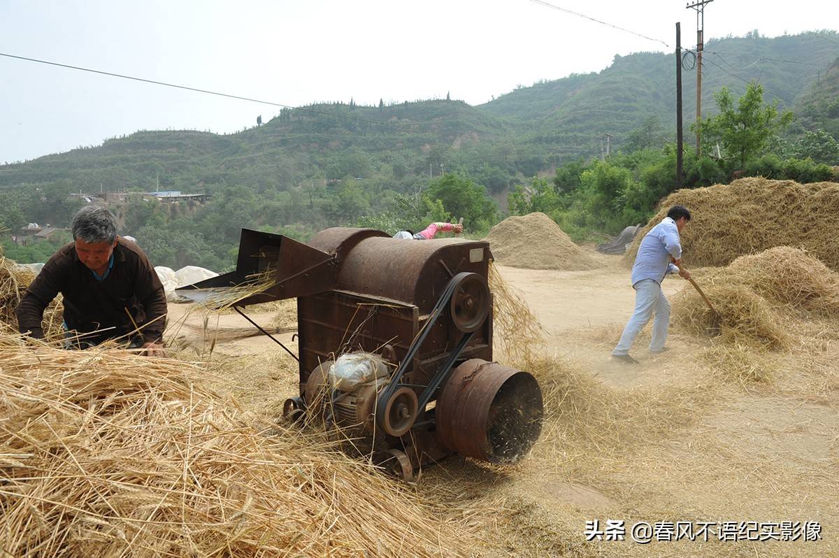 麦子熟了，9张照片让你知道当年碾麦场上的情景，重温农耕记忆