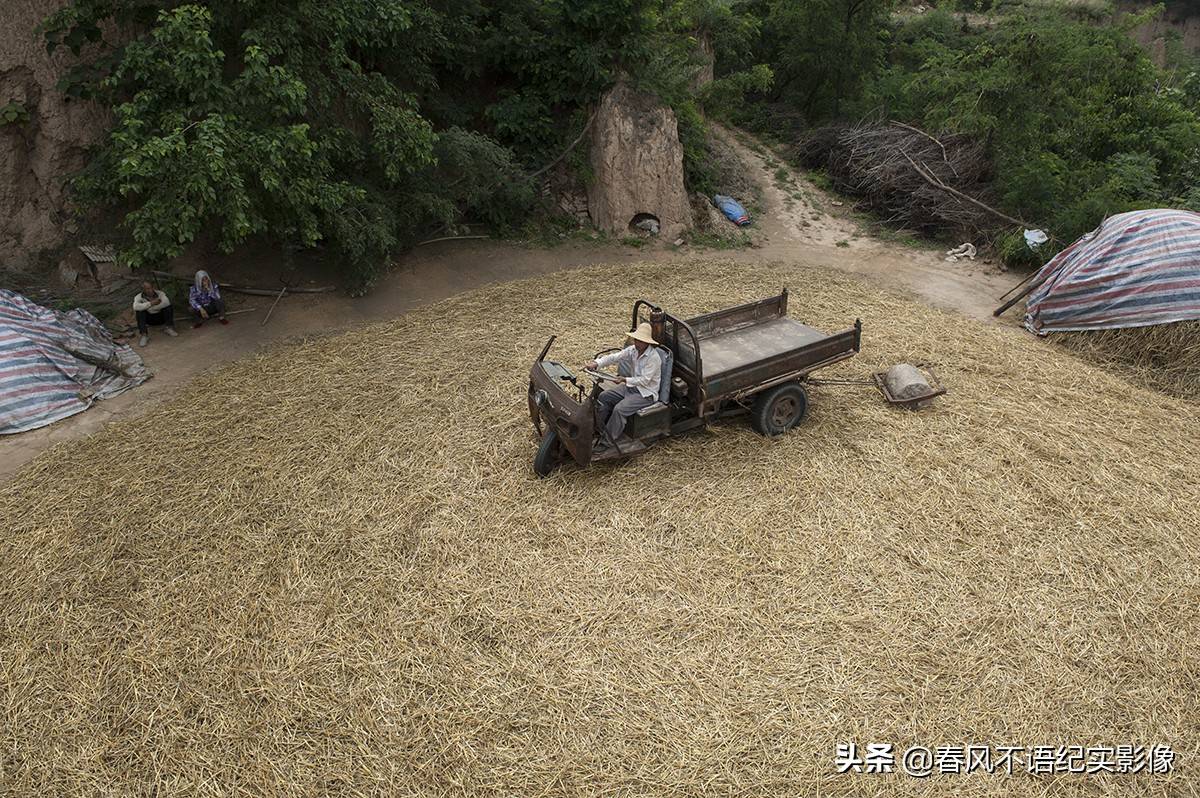 麦子熟了，9张照片让你知道当年碾麦场上的情景，重温农耕记忆