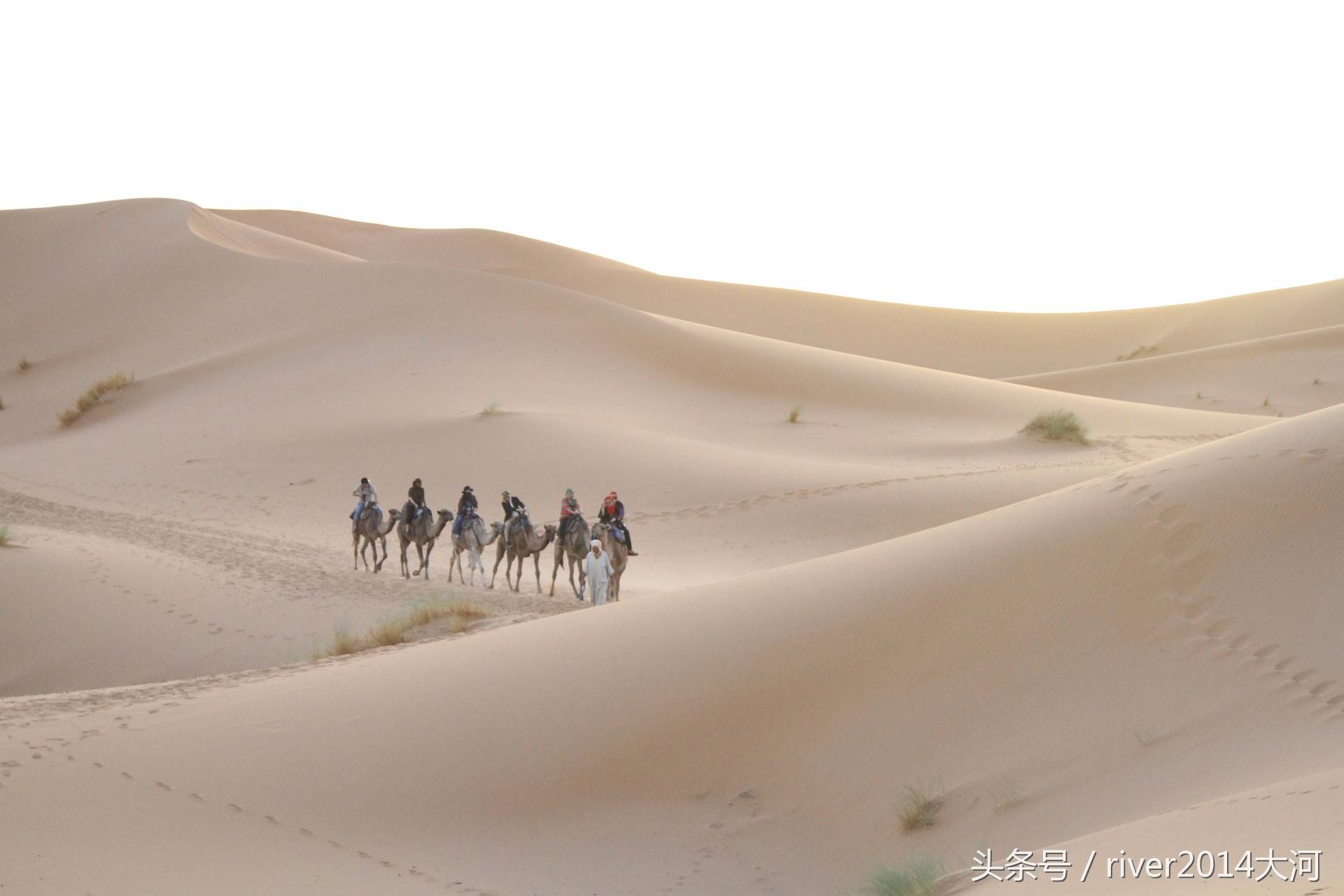 世界上最大的沙漠，跟美国面积差不多大，已是旅游景点